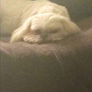 Meet your Posher, Sharlene